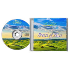 Load image into Gallery viewer, &#39;BREEZE OF BLISS&#39; - CD + Men T-Shirt Bundle